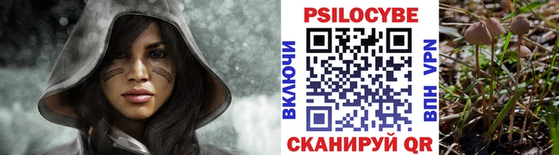 закладки  Уссурийск  Галлюциногенные грибы прущие грибы 